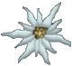ALP_256.GIF - 3060 Bytes